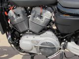 2009 Harley-Davidson XR1200  - Auto Dealer Ontario