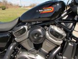 2023 Harley-Davidson Nightster Special RH 975  - Auto Dealer Ontario