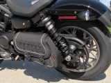 2023 Harley-Davidson Nightster Special RH 975  - Auto Dealer Ontario