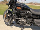 2023 Harley-Davidson Nightster Special RH 975  - Auto Dealer Ontario