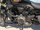 2023 Harley-Davidson Nightster Special RH 975  - Auto Dealer Ontario