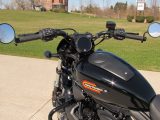 2023 Harley-Davidson Nightster Special RH 975  - Auto Dealer Ontario