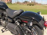 2023 Harley-Davidson Nightster Special RH 975  - Auto Dealer Ontario