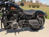 2023 Harley-Davidson Nightster Special RH 975  - Auto Dealer Ontario